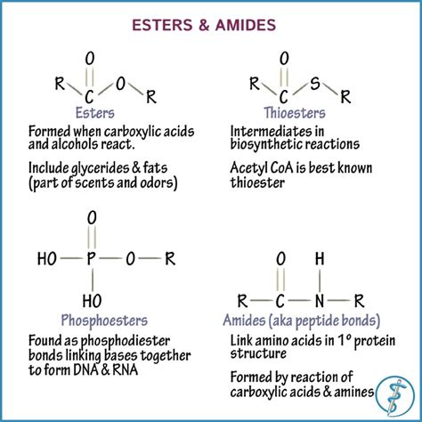 ester vs amine formulation